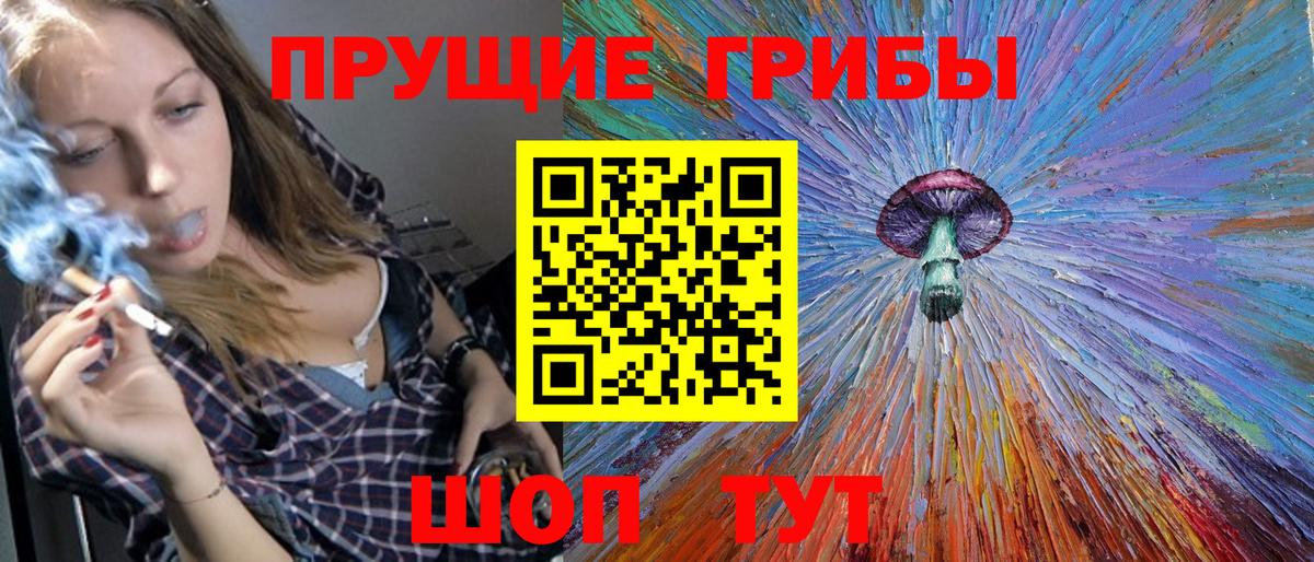 купить наркотик  Галлюциногенные грибы Psilocybe  Вход с VPN  Кстово 